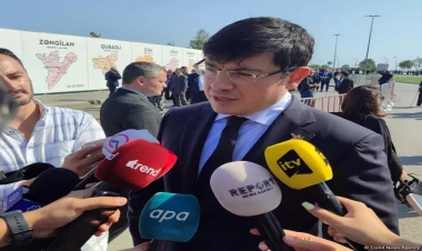 Bu hücumların hər biri görüntülənib - Komitə sədri