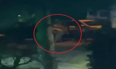 İş adamının meyiti tapıldı - Gecə klubundan çıxarkən başından vuruldu - FOTOlar