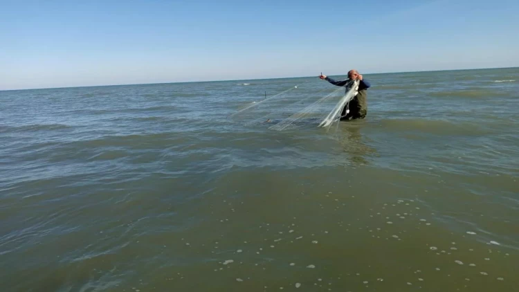 Qanunsuz ov edənlər cəzalandırıldılar