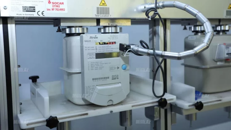 Sayğaclarda nasazlıq yaranarsa, problem necə həll edilməlidir? - VİDEO