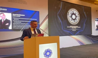 Azərbaycanda saxta domenlərin sayı açıqlandı