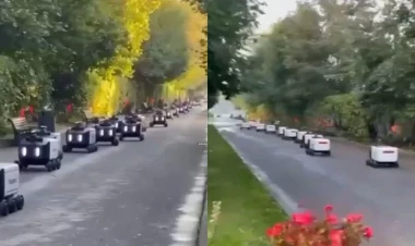 Robotlar mitinq keçirdilər