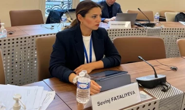 Sevinc Fətəliyeva AŞPA-nın iclasında erməni deputatı BELƏ SUSDURDU