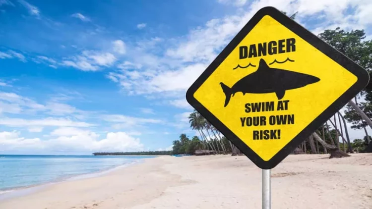 Dünyanın ən qorxulu çimərliyi