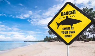 Dünyanın ən qorxulu çimərliyi