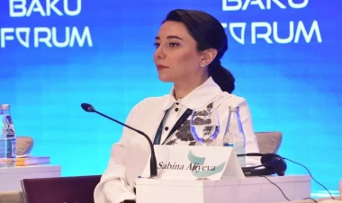 Ombudsman Ermənistanın növbəti mina terrorunu pisləyib