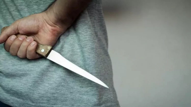 Masallıda qətl törətməkdə şübhəli bilinən iki nəfər saxlanılıb