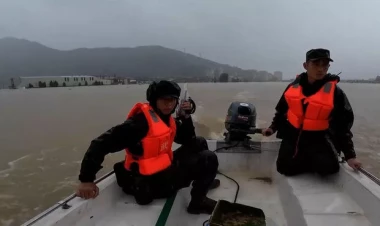 Qasırğa 2 günə yarım milyard dollar ziyan vurdu - FOTO