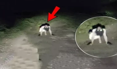 Azərbaycanlıların yaşadığı kənddə qorxulu anlar - 