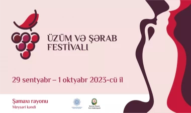 Şamaxıda Üzüm və Şərab Festivalı keçiriləcək - VİDEO