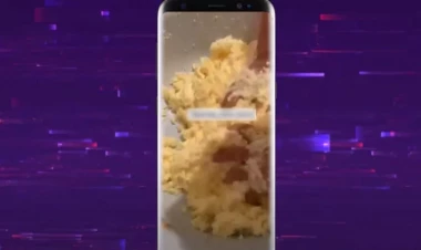 Yaşlı nəslin daha yaxşı tanıdığı çiyənin saxta növləri çoxalıb - VİDEO