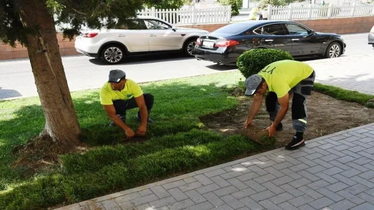 Bakıda iməclik keçirildi - FOTO