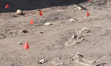 Bir qrup xarici QHT beynəlxalq ictimaiyyətə müraciət etdi