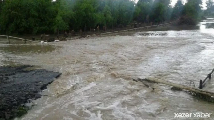 Selin dərəyə yuvarladığı avtomobildən iki qadın xilas edildi - VİDEO