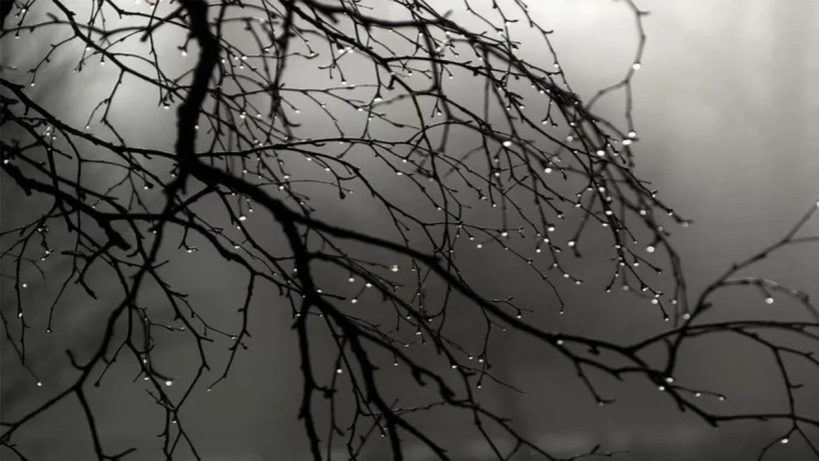 Bəzi yerlərdə şimşək çaxıb, arabir yağış yağıb - FAKTİKİ HAVA