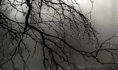 Bəzi yerlərdə şimşək çaxıb, arabir yağış yağıb - FAKTİKİ HAVA