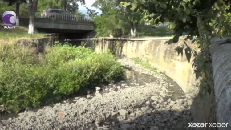 Azərbaycanın təmiz havası olan bu bölgəsində insanlar üfunətdən nəfəs ala bilmir... - VİDEO