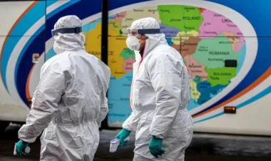 Alimdən COVID-19-un səbəblərini tapmaq üçün çağırış