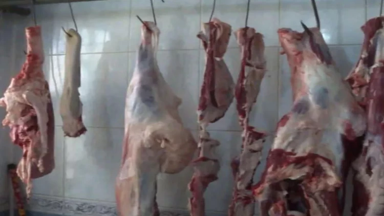 Mal ətinin qiyməti BAHALAŞIB... - VIDEO