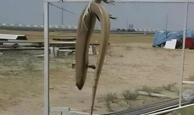 Bakıda fotosu yayılan 