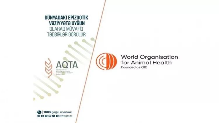 Rusiya və Şotlandiyadan bu məhsulların idxalına məhdudiyyət qoyuldu