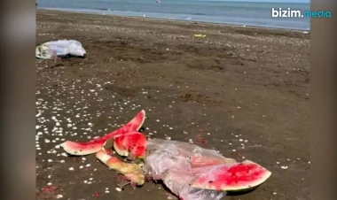 Çimərliklərə düşmən kəsilənlər - Çimərlik mədəniyyətimiz niyə yoxdur?