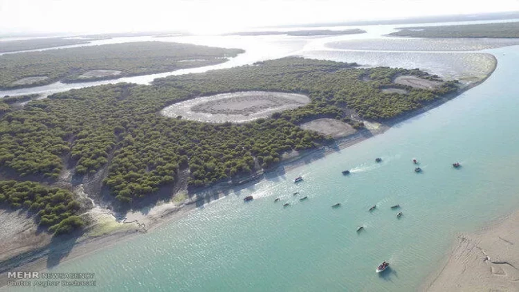 81 dərəcə isti həyatı iflic etdi