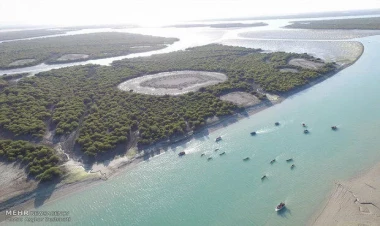 81 dərəcə isti həyatı iflic etdi