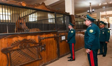 Elçin Quliyev DSX-nin Atçılıq Mərkəzinə baxış keçirib - FOTO