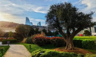 Bakıda 39° isti olacaq