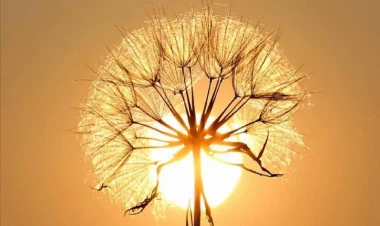 Bakıda və Abşeronda temperatur normadan 4 dərəcə yüksək olub - FAKTİKİ HAVA