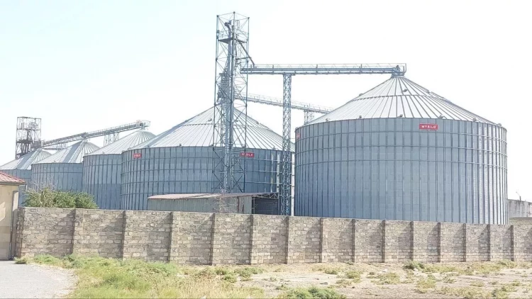 Xızıda işçilər dəyirmanda nədən ZƏHƏRLƏNDİ? - TƏFƏRRÜATLAR