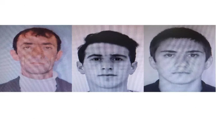 Əvvəllər işlədikləri fermadan heyvan oğurladılar