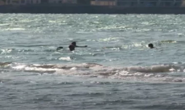 Bu hərəkətləri etməklə Dənizdə boğulan şəxsi XİLAS ETMƏK OLAR... - VİDEO