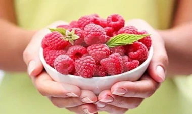 Rusiya Azərbaycanın 36 ton moruğunu niyə geri qaytarıb?