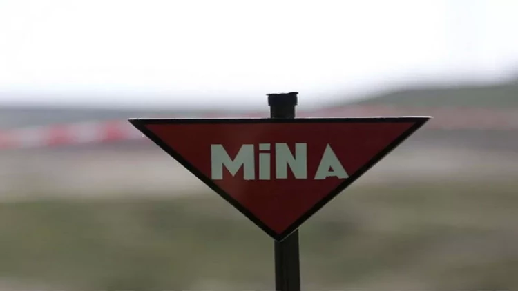 Azad olunmuş ərazilərdən son bir ay ərzində 428 mina aşkarlanıb