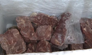 Şadlıq saraylarında mənşəyi məlum olmayan ətlər aşkarlandı - VİDEO