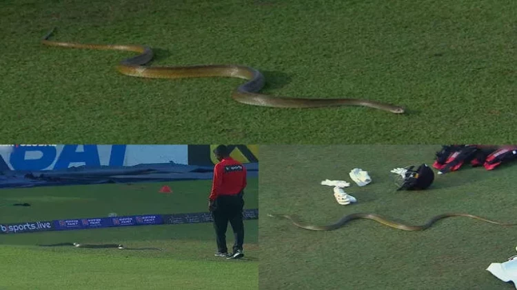 Matç zamanı meydançaya böyük ilan girdi: Oyun dayandırıldı