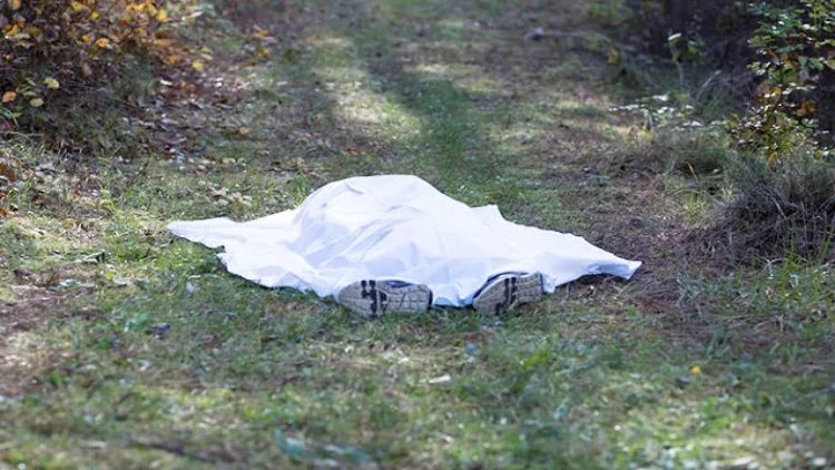 Gədəbəydə BƏDBƏXT HADİSƏ: Ot biçən 56 yaşlı kişi...