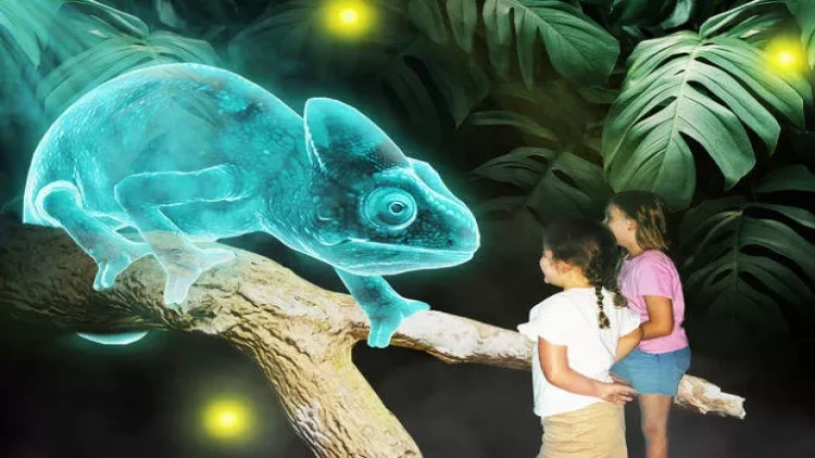 Avstraliyada gələcəyin zooparkı açıldı - VİDEO - FOTO