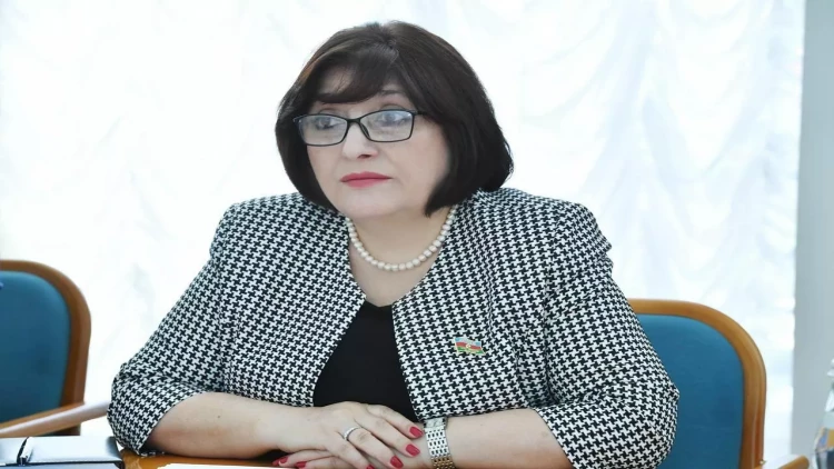 Sahibə Qafarova dünya parlamentlərinə müraciət etdi