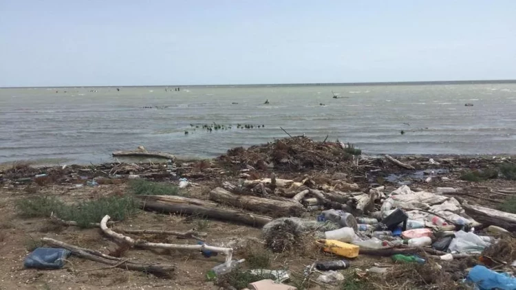 6 vəzifəli şəxs inzibati məsuliyyətə cəlb olundu