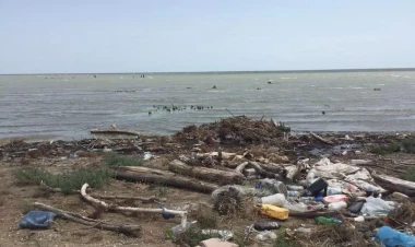 6 vəzifəli şəxs inzibati məsuliyyətə cəlb olundu