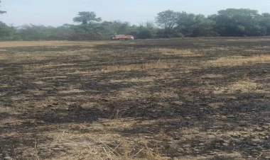 Xaçmazda bir neçə gün əvvəlki yanğının qəsdən törədildiyi üzə çıxdı