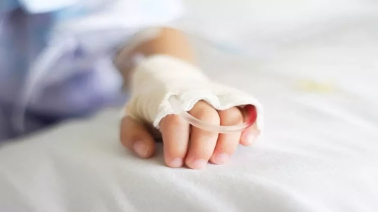 Kütləvi zəhərlənmə - Uşaq düşərgəsinin fəaliyyəti dayandırıldı