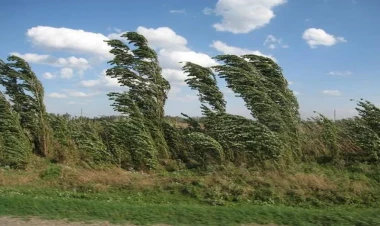 Bakıda güclü külək əsəcək