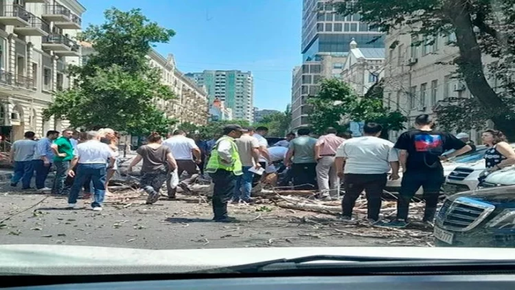 Bakının mərkəzində kişinin üstünə ağac aşdı - FOTO