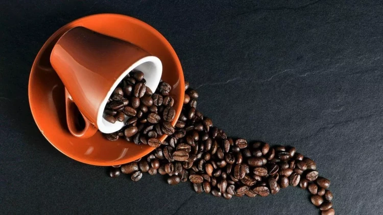 Təzə üyüdülmüş, yoxsa hazır qəhvə? - Həkim sevimli içki barədə miflərə son qoydu - FOTO