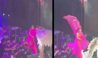 Ebru Gündəşin səhnədə başına iş gəldi - VİDEO