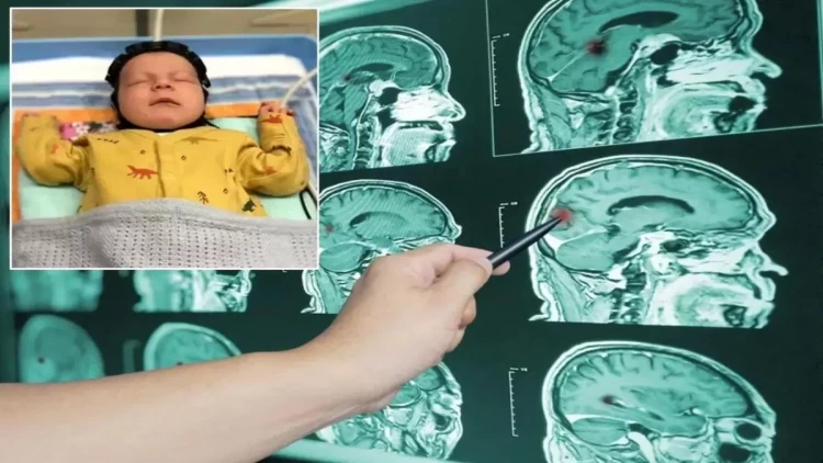 Elmdə inqilab - Möcüzəvi başlıq ixtira olundu